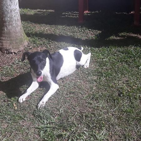 Sitio E Pousada Recanto Dos Ipes Teresópolis Eksteriør bilde