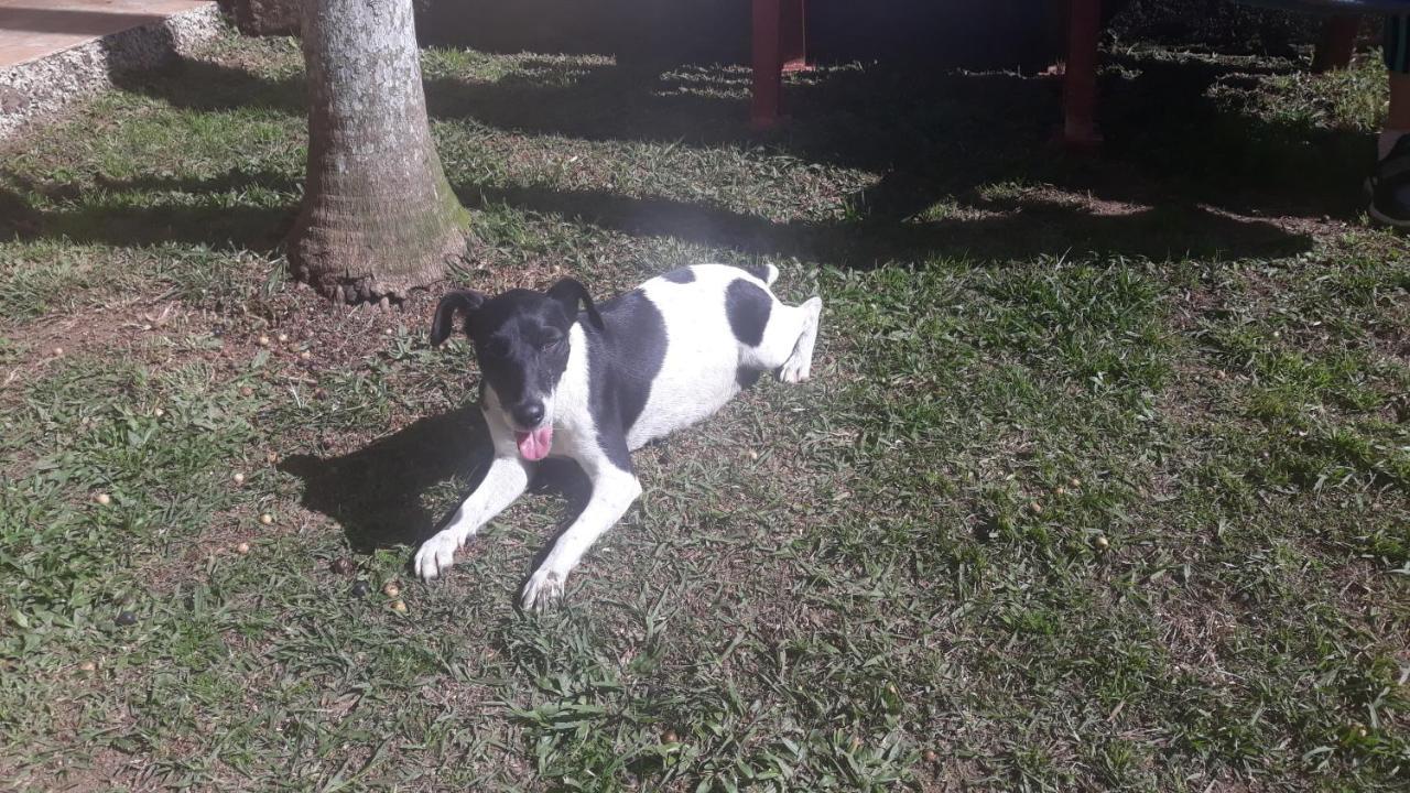 Sitio E Pousada Recanto Dos Ipes Teresópolis Eksteriør bilde